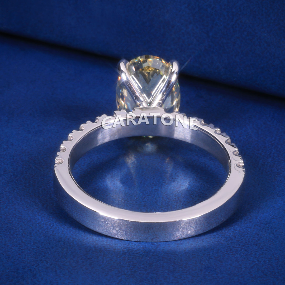 Classic Yellow Diamond Bridal Ring with White Gold Pavé Setting