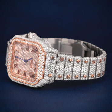 Full Iced out Hip Hop two tone  branded watch with D VVS Clarity